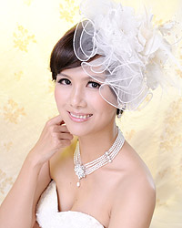 請按左鍵滑鼠,觀看相片過程